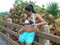 Free Bathing Suit Royalty Free Stock Photography - 8166797