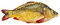 Free Fresh Mirror Carp Royalty Free Stock Photos - 8171248