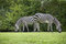 Free Two Zebras Grazing With Backs To Each Other Royalty Free Stock Images - 8174569