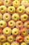 Free Apples, Packaged Neatly Royalty Free Stock Photo - 8175125