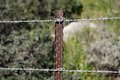 Free Two Strands Of Barbed Wire Fence Stock Image - 8183181