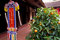 Free Orange Tree And Religious Pennant At Temple Stock Images - 8182644