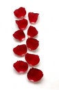 Free Red Petals Royalty Free Stock Photo - 8195005