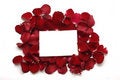 Free Red Petals Royalty Free Stock Images - 8195069