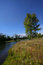 Free Single Tree By The Lake Side Royalty Free Stock Photography - 8190527