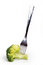 Free Broccoli On Fork Royalty Free Stock Image - 8194976