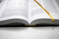 Free Bible Stock Image - 823501