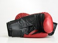 Free Boxing Gloves Royalty Free Stock Photography - 826157