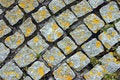 Free Cobbles Stock Images - 828784