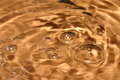 Free Orange Bubbles Royalty Free Stock Photography - 828867