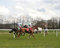 Free Galloping Royalty Free Stock Photos - 822188