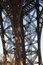 Free Eiffel Tower Pier Details, Paris, France Stock Photography - 824682