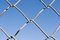 Free Chain Link Fence (series) Royalty Free Stock Images - 826549
