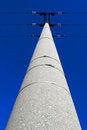 Free Pole Voltage Stock Images - 8205254