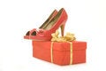 Free Excellent Gift For Every Woman Stock Image - 8207431