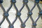 Free Grate Royalty Free Stock Image - 8200206