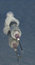Free Syringe With Sharp Needle Stock Images - 8205614