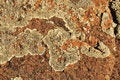Free Lichen Boulder Background Royalty Free Stock Photography - 8211597