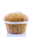 Free Tasty Muffins Royalty Free Stock Image - 8217246