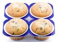 Free Tasty Muffins Royalty Free Stock Photography - 8217377
