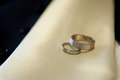 Free Wedding Rings Stock Images - 8219174