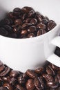 Free Cup Of Coffee Beans Stock Photos - 8219343
