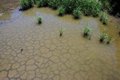 Free Chapped Pond Stock Photography - 8219352