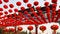 Free Red Lantern Royalty Free Stock Photography - 8227757