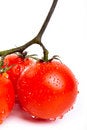 Free Fresh Red Tomatoes Royalty Free Stock Photos - 8242748
