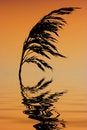 Free Susnset Morocco Stock Images - 8250424