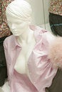 Free Mannequin In Store Royalty Free Stock Photos - 8259138