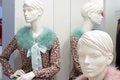 Free Mannequin In Store Stock Images - 8259224