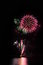 Free Fireworks Royalty Free Stock Image - 8255706
