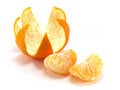 Free Tangerine Stock Photography - 8261552