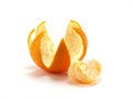 Free Tangerines Stock Images - 8261574