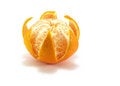Free Tangerine Stock Images - 8261594
