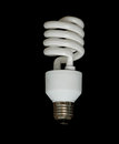 Free Energy-saving Lamp Royalty Free Stock Image - 8269616