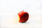 Free Fresh Apple Royalty Free Stock Images - 8265129
