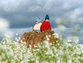 Free Idyllic Royalty Free Stock Images - 8270379