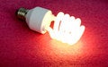 Free Energy-saving Lamp Royalty Free Stock Photos - 8270408