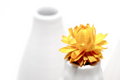 Free Solitude Royalty Free Stock Photography - 8275017