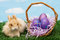 Free Easter Eggs Stock Image - 8272351