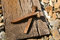 Free Railroad Spikes Stock Photo - 8272680