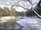 Free Beautiful Winter Landscape Royalty Free Stock Photography - 8275057