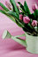 Free Pink Springtime Flowers Royalty Free Stock Image - 8275566