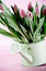 Free Pail Of Tulips Stock Image - 8275581