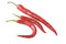 Free Ripe Chili Pepper Stock Images - 8275824
