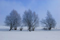 Free Winter Landscape Stock Image - 8280881