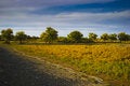 Free Steppe Stock Images - 8283324
