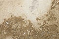Free Travertine Stone Stock Photography - 8286972